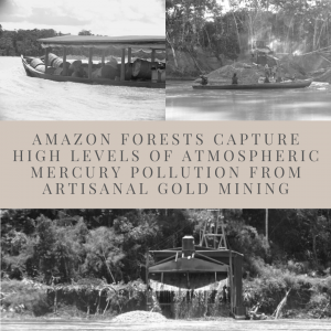 Amazon-forests-capture-mercury.png